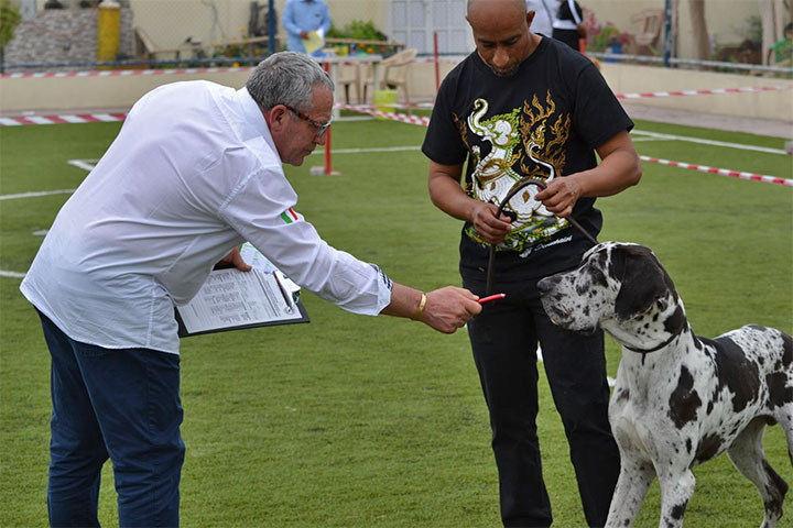 Stefano Bartolini giudice al Dog Show del Bahrain 2018 • 5/18