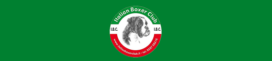 Italian Boxer Club - Boxer Bianco